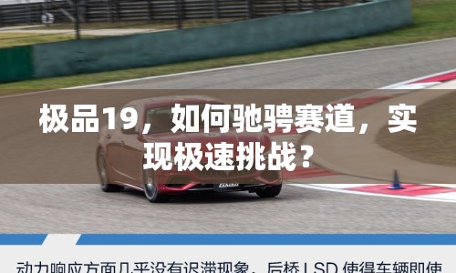 極品19，如何馳騁賽道，實現(xiàn)極速挑戰(zhàn)？