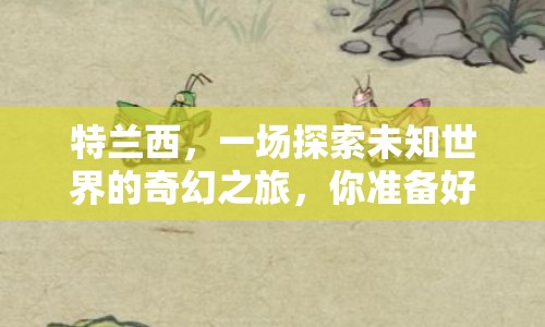 特蘭西，一場(chǎng)探索未知世界的奇幻之旅，你準(zhǔn)備好了嗎？