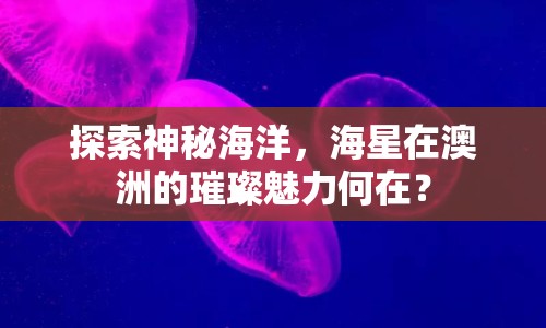探索神秘海洋，海星在澳洲的璀璨魅力何在？