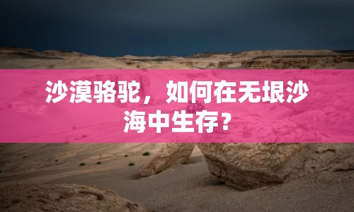 沙漠駱駝，如何在無垠沙海中生存？