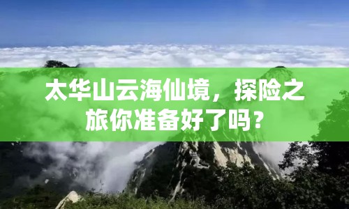 太華山云海仙境，探險(xiǎn)之旅你準(zhǔn)備好了嗎？