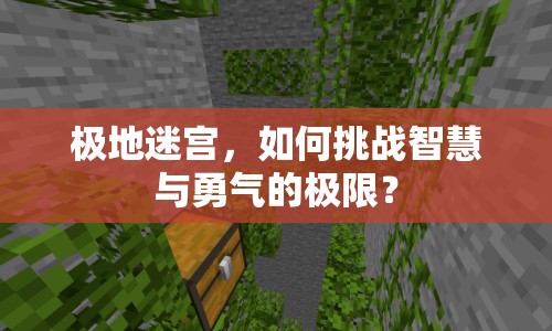極地迷宮，如何挑戰(zhàn)智慧與勇氣的極限？