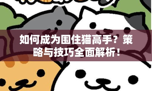 如何成為圍住貓高手？策略與技巧全面解析！