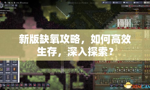 新版缺氧攻略，如何高效生存，深入探索？