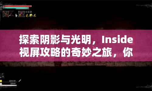 探索陰影與光明，Inside視屏攻略的奇妙之旅，你準(zhǔn)備好了嗎？