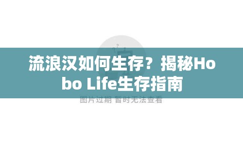 流浪漢如何生存？揭秘Hobo Life生存指南