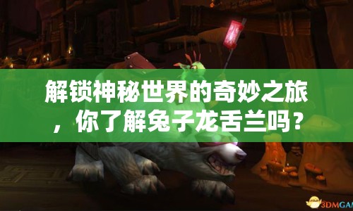 解鎖神秘世界的奇妙之旅，你了解兔子龍舌蘭嗎？