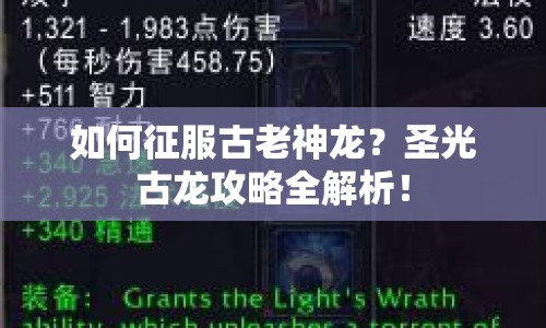 如何征服古老神龍？圣光古龍攻略全解析！
