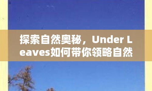 探索自然奧秘，Under Leaves如何帶你領(lǐng)略自然之美？