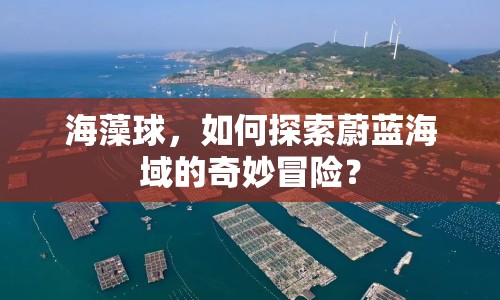 海藻球，如何探索蔚藍(lán)海域的奇妙冒險(xiǎn)？