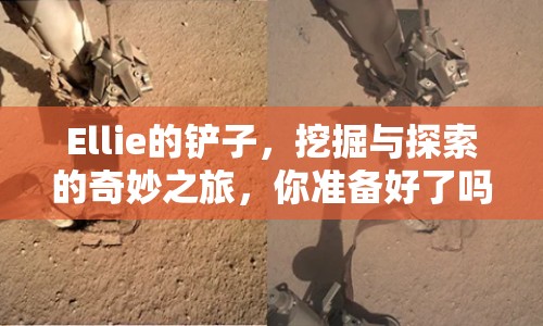 Ellie的鏟子，挖掘與探索的奇妙之旅，你準(zhǔn)備好了嗎？