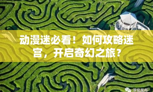 動漫迷必看！如何攻略迷宮，開啟奇幻之旅？