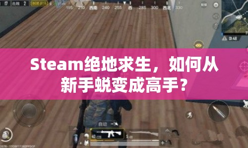 Steam絕地求生，如何從新手蛻變成高手？