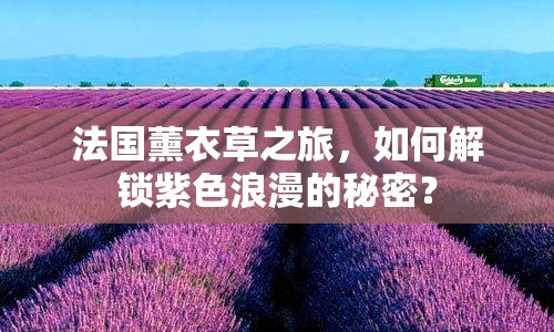 法國薰衣草之旅，如何解鎖紫色浪漫的秘密？