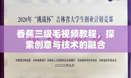 香蕉三級(jí)毛視頻教程，探索創(chuàng)意與技術(shù)的融合