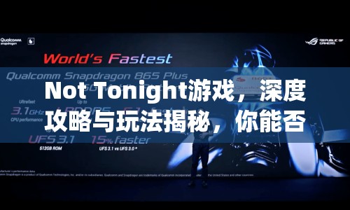 Not Tonight游戲，深度攻略與玩法揭秘，你能否成功逃脫？