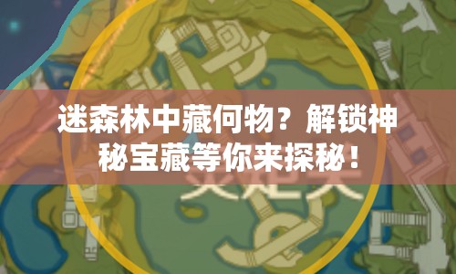 迷森林中藏何物？解鎖神秘寶藏等你來探秘！