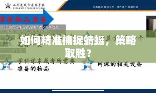 如何精準(zhǔn)捕捉蜻蜓，策略取勝？