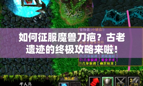 如何征服魔獸刀疤？古老遺跡的終極攻略來啦！