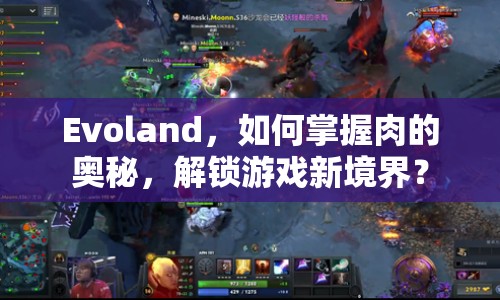 Evoland，如何掌握肉的奧秘，解鎖游戲新境界？