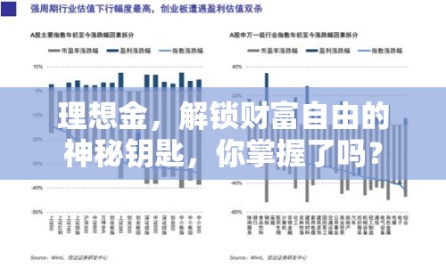理想金，解鎖財(cái)富自由的神秘鑰匙，你掌握了嗎？