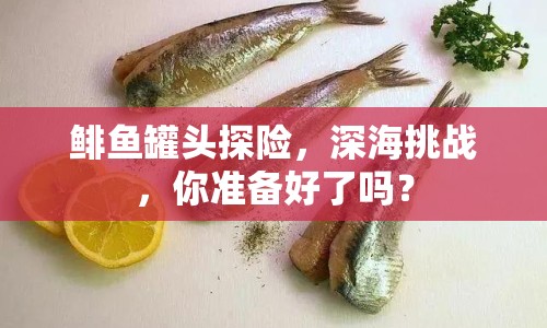 鯡魚罐頭探險，深海挑戰(zhàn)，你準(zhǔn)備好了嗎？