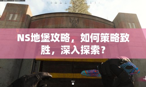 NS地堡攻略，如何策略致勝，深入探索？