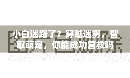 小白迷路了？穿越迷霧，智取萌寵，你能成功營(yíng)救嗎？