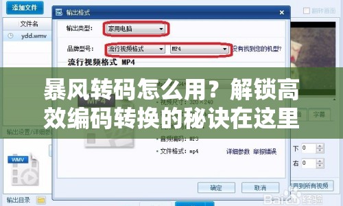 暴風(fēng)轉(zhuǎn)碼怎么用？解鎖高效編碼轉(zhuǎn)換的秘訣在這里！