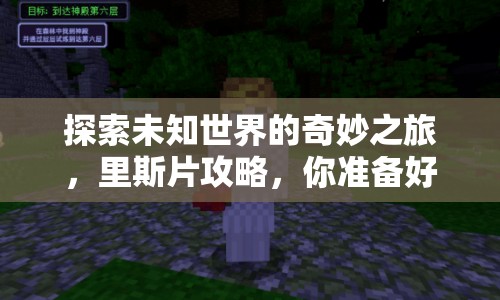 探索未知世界的奇妙之旅，里斯片攻略，你準(zhǔn)備好了嗎？