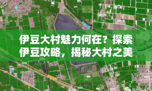 伊豆大村魅力何在？探索伊豆攻略，揭秘大村之美！
