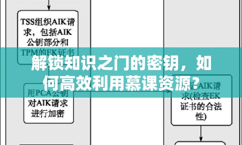 解鎖知識(shí)之門的密鑰，如何高效利用慕課資源？