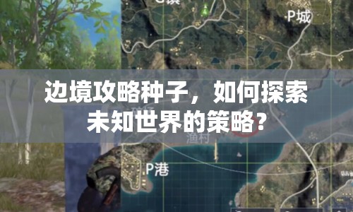 邊境攻略種子，如何探索未知世界的策略？