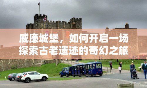 威廉城堡，如何開(kāi)啟一場(chǎng)探索古老遺跡的奇幻之旅？