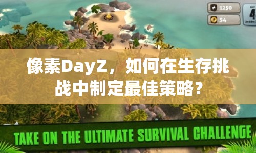 像素DayZ，如何在生存挑戰(zhàn)中制定最佳策略？