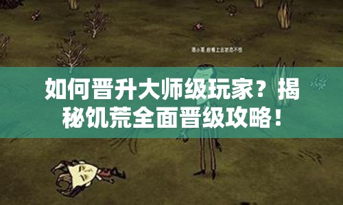 如何晉升大師級玩家？揭秘饑荒全面晉級攻略！