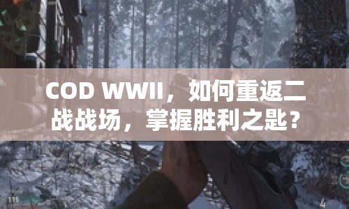 COD WWII，如何重返二戰(zhàn)戰(zhàn)場，掌握勝利之匙？