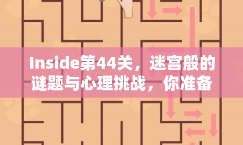Inside第44關(guān)，迷宮般的謎題與心理挑戰(zhàn)，你準(zhǔn)備好了嗎？