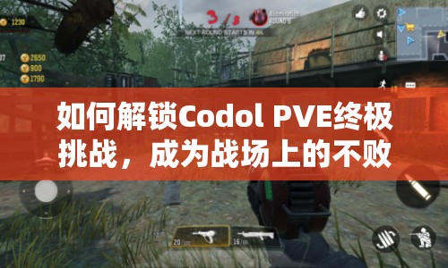 如何解鎖Codol PVE終極挑戰(zhàn)，成為戰(zhàn)場(chǎng)上的不敗傳說(shuō)？