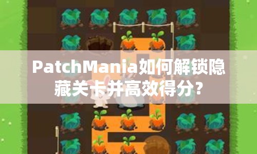 PatchMania如何解鎖隱藏關(guān)卡并高效得分？