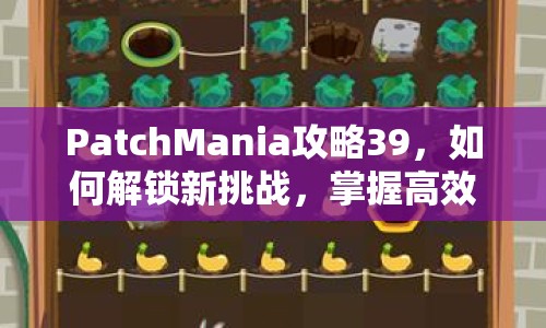 PatchMania攻略39，如何解鎖新挑戰(zhàn)，掌握高效策略？