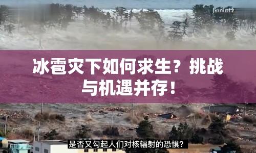 冰雹災(zāi)下如何求生？挑戰(zhàn)與機(jī)遇并存！