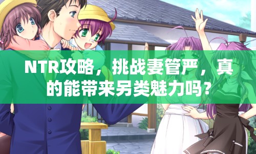 NTR攻略，挑戰(zhàn)妻管嚴(yán)，真的能帶來另類魅力嗎？
