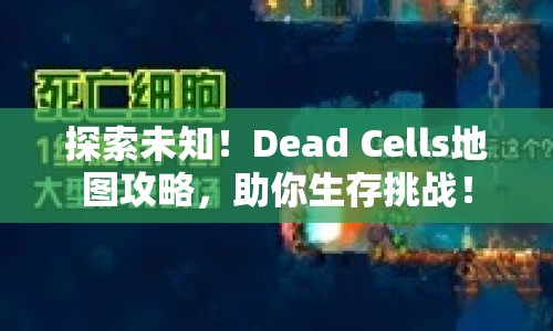 探索未知！Dead Cells地圖攻略，助你生存挑戰(zhàn)！