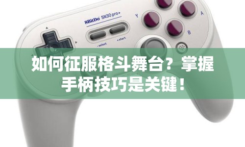 如何征服格斗舞臺(tái)？掌握手柄技巧是關(guān)鍵！