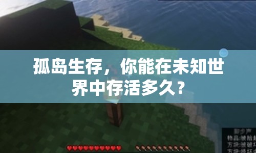 孤島生存，你能在未知世界中存活多久？