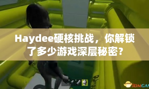 Haydee硬核挑戰(zhàn)，你解鎖了多少游戲深層秘密？