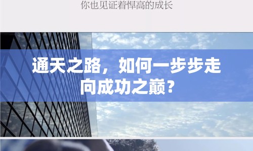通天之路，如何一步步走向成功之巔？