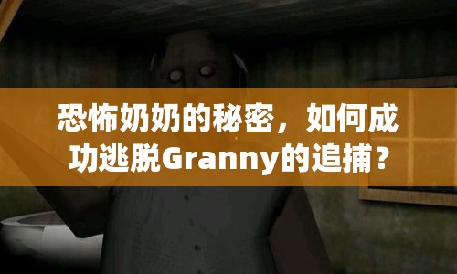 恐怖奶奶的秘密，如何成功逃脫Granny的追捕？