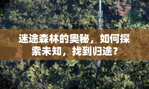 迷途森林的奧秘，如何探索未知，找到歸途？